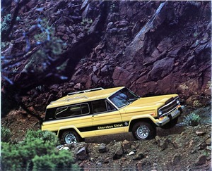 1979 Jeep Full Line-10.jpg